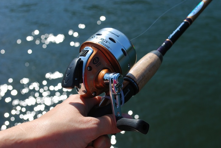 spincasting reel